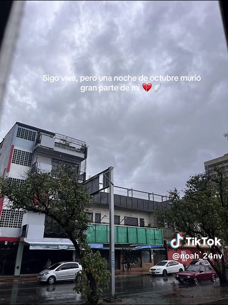 Videos de N (@noah_24nv) con “Only Love Can Hurt Like This (Slowed Down Version) - Paloma Faith”