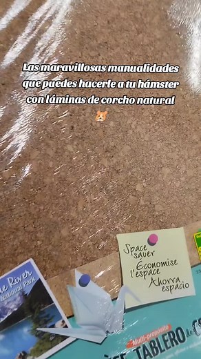 Láminas de corcho🐹🤩súper útiles para hacer manualidades. Para pegar puedes hacer uso de pegamento escolar NO tóxico o silicona caliente 🤲🏻