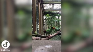 2.6K views · 97 reactions | We're delighted to announce that our Bird...