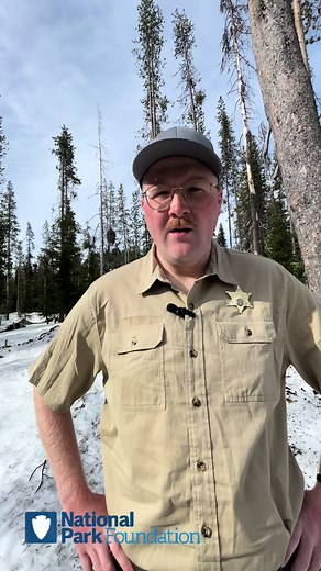 Junior Ranger Rob hits the USA! @nationalparksusa @National Geographic #americathebeautiful #nationalpark #nationaltreasure #nature #park #parkranger #tiktok #mountain #foryou #xyzbca #viral #fyp #funny #rob #forest #ranger #rangerrob #juniorranger