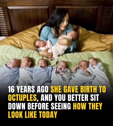 Now that they are 16 years old: Here’s how the world’s first surviving octuplets and their mother look like today 👀 Full story and photos in the C0MMENTS 👇 | Dolphins