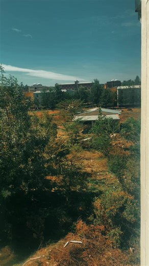 Let’s talk about the bird u look on this video. 🐦‍⬛Look at this bird… No one gave it a house. No one showed it the way. But every day, it flies… piece by piece… building something it can call its own. That’s life. On this campus, everyone is trying to build something a future, a dream, a name. Don’t rush. Don’t compare. Just build… with what you have. And appreciate every small step because one day, it becomes your home. Good vibes only. #aksumuniversity #fyppppppppppppppppppppppp #aksum #aku #