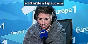 Quel est le rapport entre l'herbicide Roundup et l'eau? 🌱 Conseils Jardiniers - Fr.ezGardenTips.com