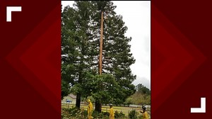 What you need to know to stay safe during spring thunderstorms