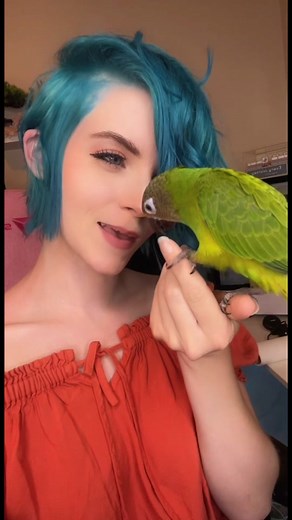 Meet Indy: The Charming Dusky Headed Conure