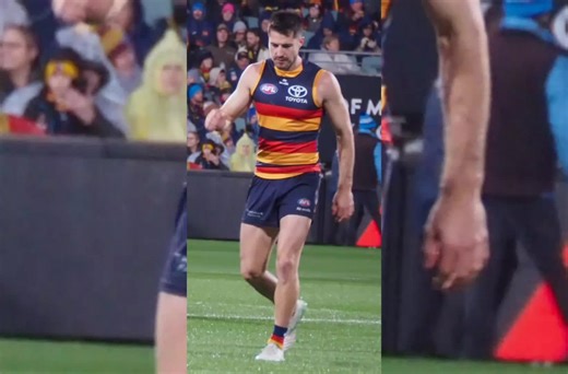Adelaide Crows vs Brisbane: AFL Match Highlights