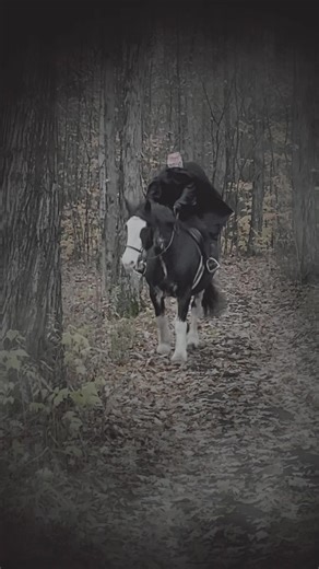 Happy Halloween! | Spring Hollow Ranch