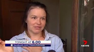 6.9K views · 23 reactions | Fighting for life - a vicious dog attack has left a man with horrific face and neck injuries. The 73-year-old was savaged by a bullmastiff cross while visiting a friend's house at Willaston near Gawler. Those details and more in 7 News at 4pm and 6pm. Watch on Channel 7 Adelaide or 7plus | www.7plus.com.au/news #Willaston #7News | 7NEWS Adelaide | Facebook
