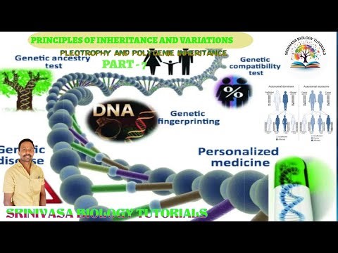 PRINCIPLES OF INHERITANCE AND VARIATIONS