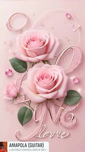 Bella gracias #eternamentebellarosas | Eternamente bella rosas