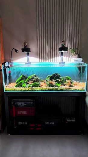 DIY Natural Stream Biome, Stream Biotope Masterclass From Wild to Aquarium, aquarium youtube channel