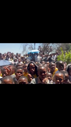 Busta 929 on TikTok