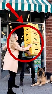 Store owner has the cutest helper 🐕 | Truques do Panda