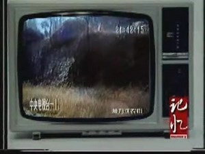 【央视纪录片】广告留影 2005年