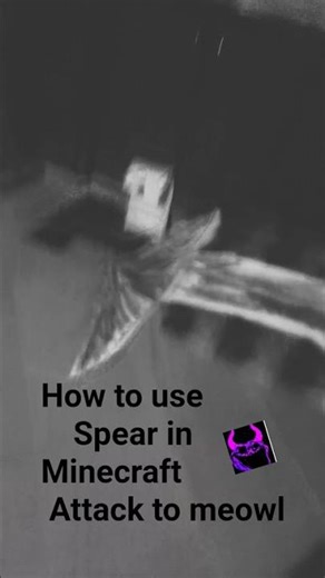 how to use Minecraft spear to kill meowl