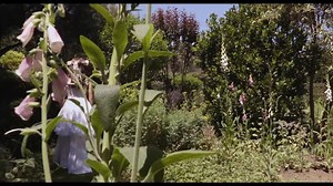 3.5M views · 100K reactions | HOY EN TU DÍA NIÑ@ Hoy en tu día niñ@,...