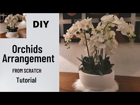 How to Make a Stunning Orchid Arrangement!