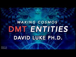 What are DMT Entities? | David Luke Ph.D. on Waking Cosmos