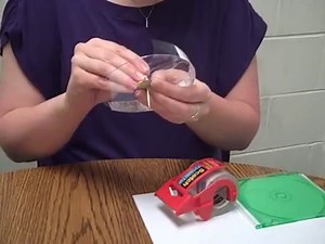 You Will Love These 11 Creative Garden Crafts for Kids