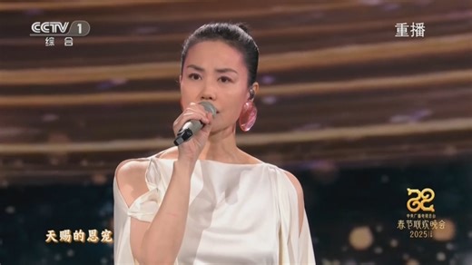 [2025央视春晚]歌曲《世界赠予我的》 演唱：王菲（字幕版）