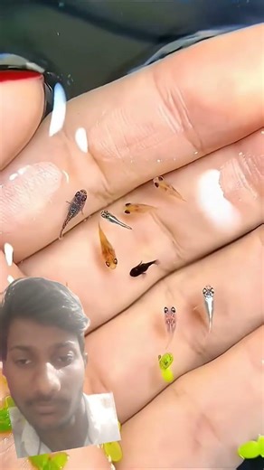 ai animal transformation 🥶