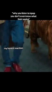 NCT + KPOP MEMES ♡︎ on Instagram: ""Regular - English Version" by NCT 127 is a song that showcases the group's versatility and global appeal. Released in October 2018, this track is part of their first full-length album, "Regular-Irregular." The English version of "Regular" was aimed at reaching a broader international audience and demonstrated NCT 127's ability to cross language barriers with their music. The song features a catchy and confident melody, blending elements of hip-hop, pop, and La