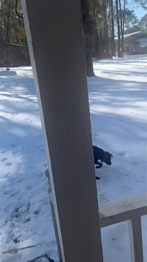 Janet Cole Phelps on Reels