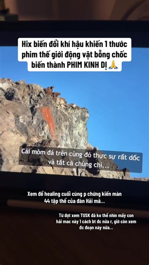 Hix #vaithuxamxi #ourplanet #ourplanetbehindthescenes #biendoikhihau