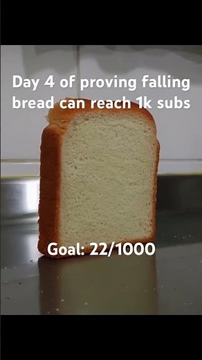 Day 4 of proving that falling bread can reach 1000 subs