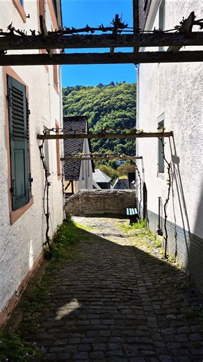 You Won’t Believe This Village Exists 😮 | Enkirch 🇩🇪