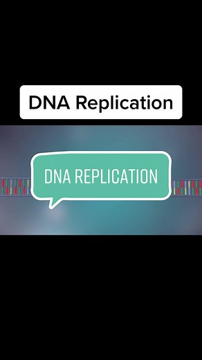 DNA Replication Explained: Process and Mechanisms