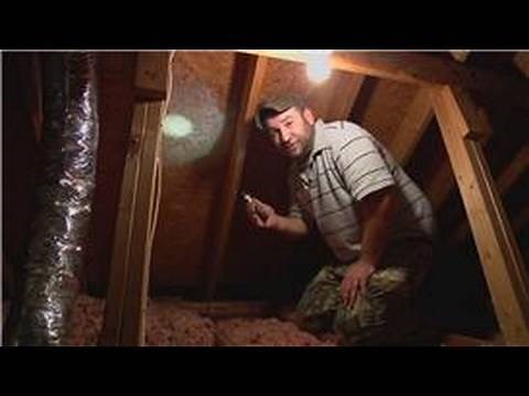 Pest Control : How to Remove Bees From the Attic