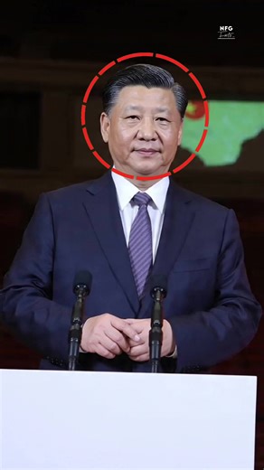 What Happens When You Put a Human Brain in a Robot?