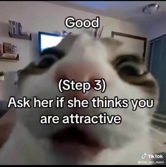 Cara Mendapatkan Pacar: Tutorial dan Meme