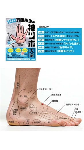 足の反射区 #自律神経