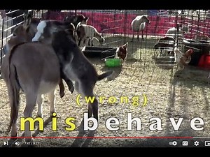 PREFIX re, un, dis, pre, mis ENGLISH GRAMMAR LESSON (2nd - 3rd) EDUCATIONAL KID VIDEO