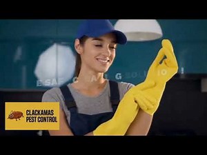 How to Get Rid of Ants Fast – Professional Pest Control Method