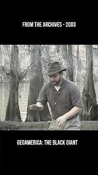 Formation of the East Texas Oil Field