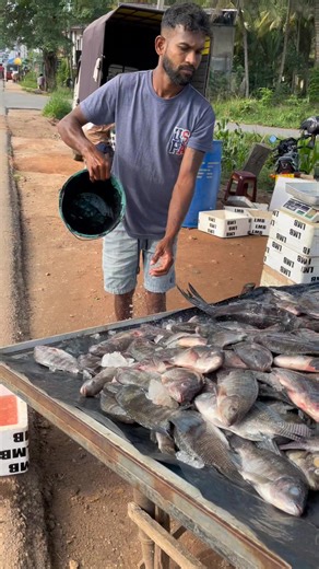 Mastering Culinary Skills with The Fillet Artist