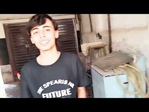 My First Animal Vlog |Cute Animals ki Daily Life🐾