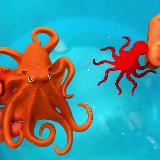 Big and Small Octopus! 🐙 Toy Adventure for Kids