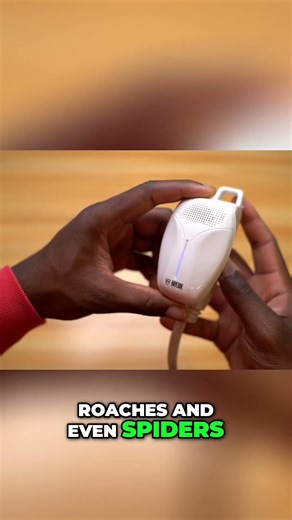 Pest Repeller Face-Off: High-Power vs. Mighty Mint Spray #shorts