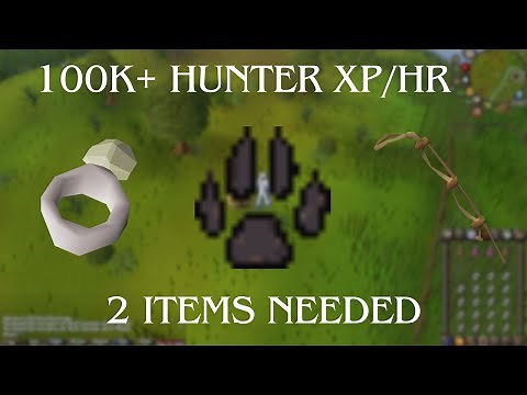 How to OSRS: Guide For Hunter Training Razor-Backed Kebbits (2025)