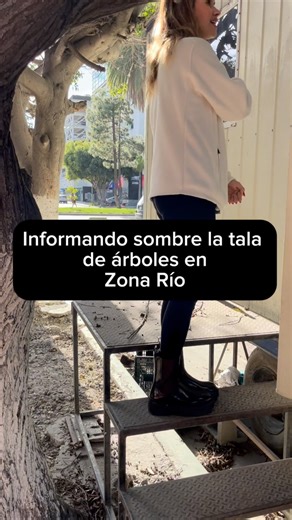Actualización sobre la tala de árboles en Zona Río 🌳🚨‼️ Dándole seguimiento al tema de la tala de árboles en la Zona Río, comparto esta actualización sobre el caso y la información que me fue proporcionada. Lo único que buscamos como ciudadanos es que las empresas que llegan a Tijuana, así como las personas que vienen a vivir a esta ciudad, la cuiden, la respeten y contribuyan a protegerla. Tijuana es de todos y su entorno también. #tijuana #notícias #fyp #medioambiente #miroslava | Miroslava 