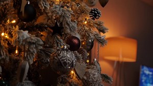 Christmas tree - Free Stock Video Footage | Coverr