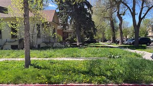 Go on a ridealong with a code compliance supervisor