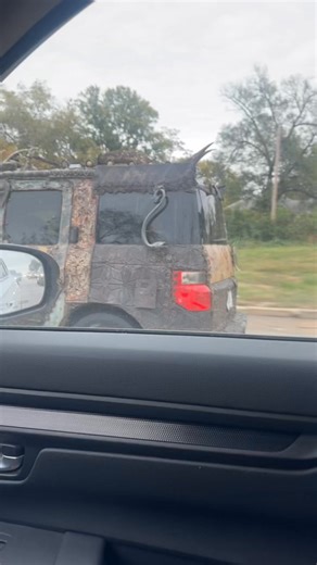 The Waldo Jeepers Creepers? | David Leach