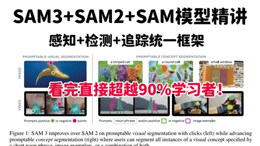 杀疯了！SAM3/SAM2/SAM图像分割模型核心原理 论文源码精讲，感知 检测 追踪统一框架！看完直接超越80%学习者！