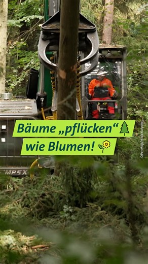 Bäume fällen, die dann umfallen – das sieht man immer wieder. Doch diese Maschine sägt die Stämme „stehend“ ab! Habt ihr sowas schonmal gesehen? 👉🏻 🎬: https://1.ard.de/unser_land_hightech_harvester_pflueckt_baume | Unser Land