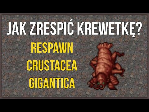 Jak Zrespić Krewetkę? | Crustacea Gigantica Respawn